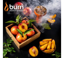 Тютюн для кальяну Burn Nectarine (Нектарин) 100 грам