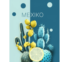 Тютюн Whitesmok Mexico (Мексико) 50 грам