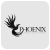 Вугілля кокосове Phoenix