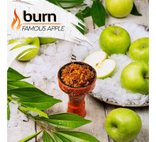 Тютюн для кальяну Burn Famous Apple (Легендарне Крижане Яблуко) 100 грам