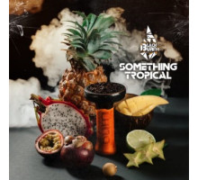 Тютюн для кальяну Black Burn Something Tropical (Чорний Берн Щось Тропічне) 100 грам