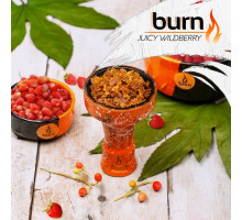 Тютюн для кальяну Burn Juicy Wildberry / Дика Суниця 100 грам
