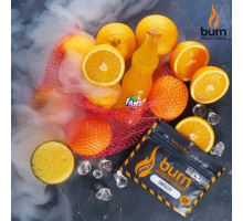 Тютюн для кальяну Burn Fantazzy / Фанта 100 грам